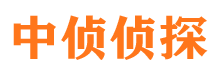 遂宁外遇出轨调查取证